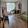 Apartament 3 camere, mobilat, 2 bacoane, Iulius Mall thumb 1
