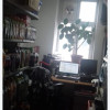 De vanzare spatiu comercial, inchiriat, strada Paris thumb 3