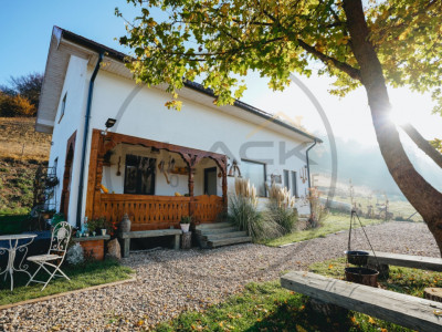 Casa Superba de vanzare, refugiu langa padure + Business Profitabil
