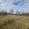 Teren intravilan, 3800 mp, ideal investitie - zona turistica , Moigrad imaginea mica 5 Teren intravilan, 3800 mp, ideal investitie - zona turistica , Moigrad thumb 5