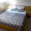 Chirie apartament 3 camere, ultrafinisat, vila, curte, centru, pet friendly thumb 4