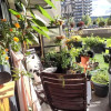Apartament 2 camere, terasa 14 mp, Sopor, Baza Sportiva thumb 3