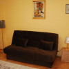 Pet friendly!Chirie apartament 1 camera, 40 mp, balcon,  bl P, N Titulescu thumb 4