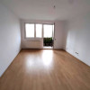 Apartament 1 camera, 40 mp, balcon, FSEGA, IULIUS MALL thumb 1