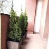 Apartament 1 camera, 40 mp, balcon, FSEGA, IULIUS MALL thumb 2