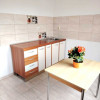 Apartament 1 camera, 40 mp, balcon, FSEGA, IULIUS MALL thumb 5