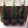 Apartament 1 camera, 40 mp, balcon, FSEGA, IULIUS MALL thumb 7